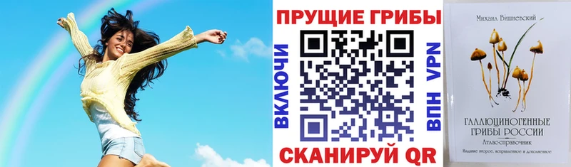 OMG ТОР  Котельнич  Псилоцибиновые грибы GOLDEN TEACHER 